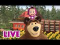 🔴 LIVE! Maşa İle Koca Ayı 🎬👧🐻 📛 Dostluk rozeti 🤗 Masha and the Bear