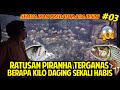 RATUSAN PIRANHA TERGANAS BERBAHAYA! PREDATOR TERLENGKAP ADA DISINI! JAKARTA AQUARIUM & SAFARI #EPS3