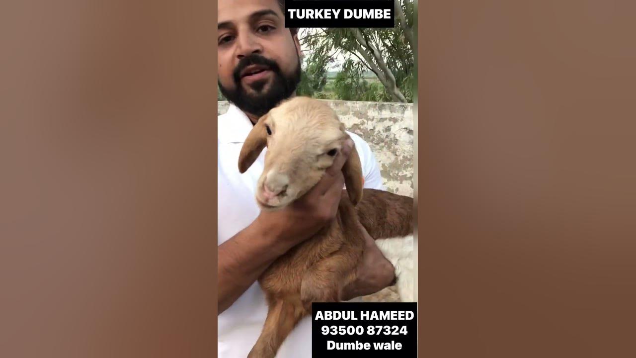 1992 yildan qattiq porno