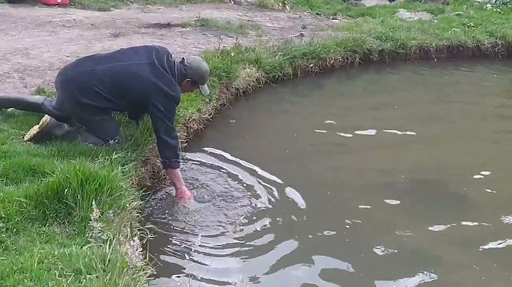 UN IMPRESIONANTE CRIADERO DE TRUCHAS/Y MIRA LO QUE NOS PASO AL FINAL/pato y tu canal del campo/