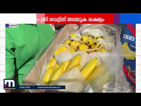 യുഎഇയിൽ വാറ്റ് നിയമത്തിൽ കാതലായ മാറ്റം; നികുതിവെട്ടിപ്പ് തടയാൻ കർശന നടപടികൾ