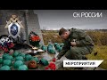 В Мурманской области офицерами регионального СУ СК России обнаружены останки бойцов Красной Армии