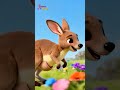 ചെറിയ കങ്കാരു പാട്ട്  - Little Kangaroo Song  | Nursery Rhymes for Children's |  kids | Shorts