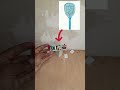 Build Your OWN 4000 Voltage Generator at HOME! #tanvirideadiy #diy #how #4000 #4000volt #2000 #4diy
