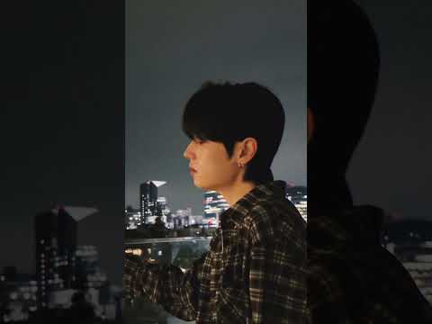 저녁에 들으면 바로 감성 풀충전 되는 위로곡 #dingo