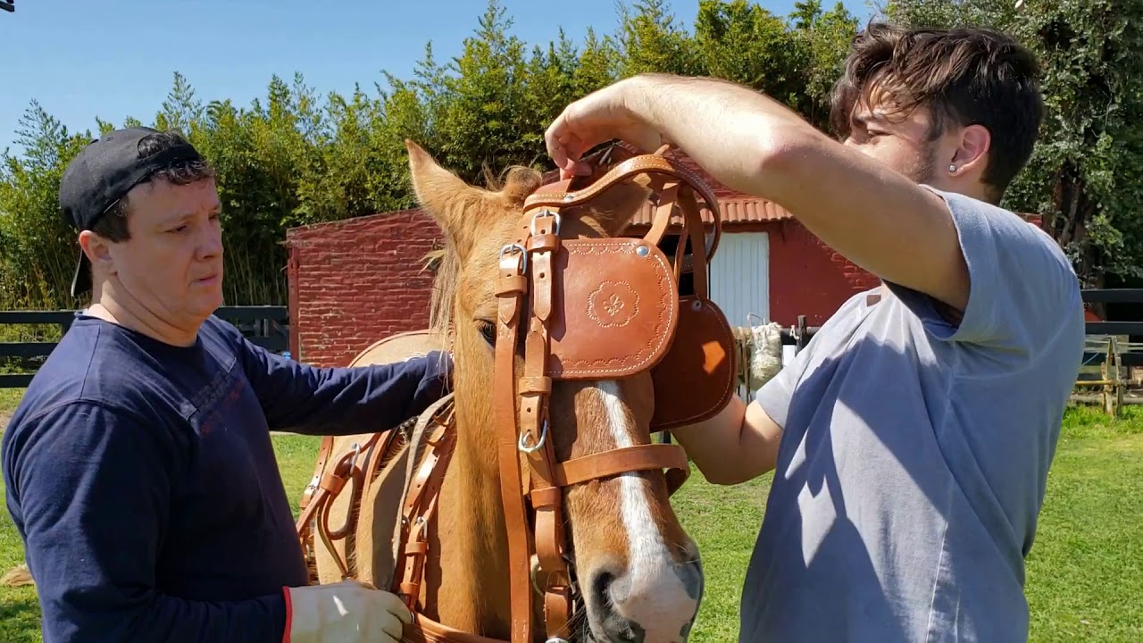 COMO PREPARAR UN SULKY | LosYeguarizosPinto
