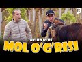 Akula Plus - Mol o&#39;g&#39;risi (hajviy ko&#39;rsatuv)