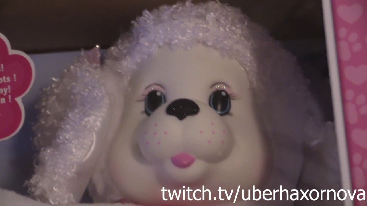 Puppy Surprise - Puppy Surprise