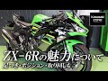 ZX-6Rの魅力について！足つき・ポジション・取り回しもチェック！カワサキゾーン / KAWASAKI ZONE