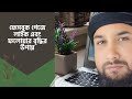 ডলারের মাধ্যমে লাইক ফলোয়ার বাড়ানোর সহজ পদ্ধতি । Facebook marketing Ads 19 June 2025