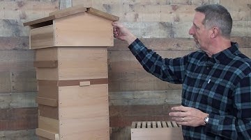 Why Warre Hives? Why Sweet Valley Hives?