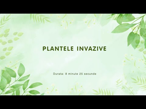 Video: De ce unele plante sunt invazive?