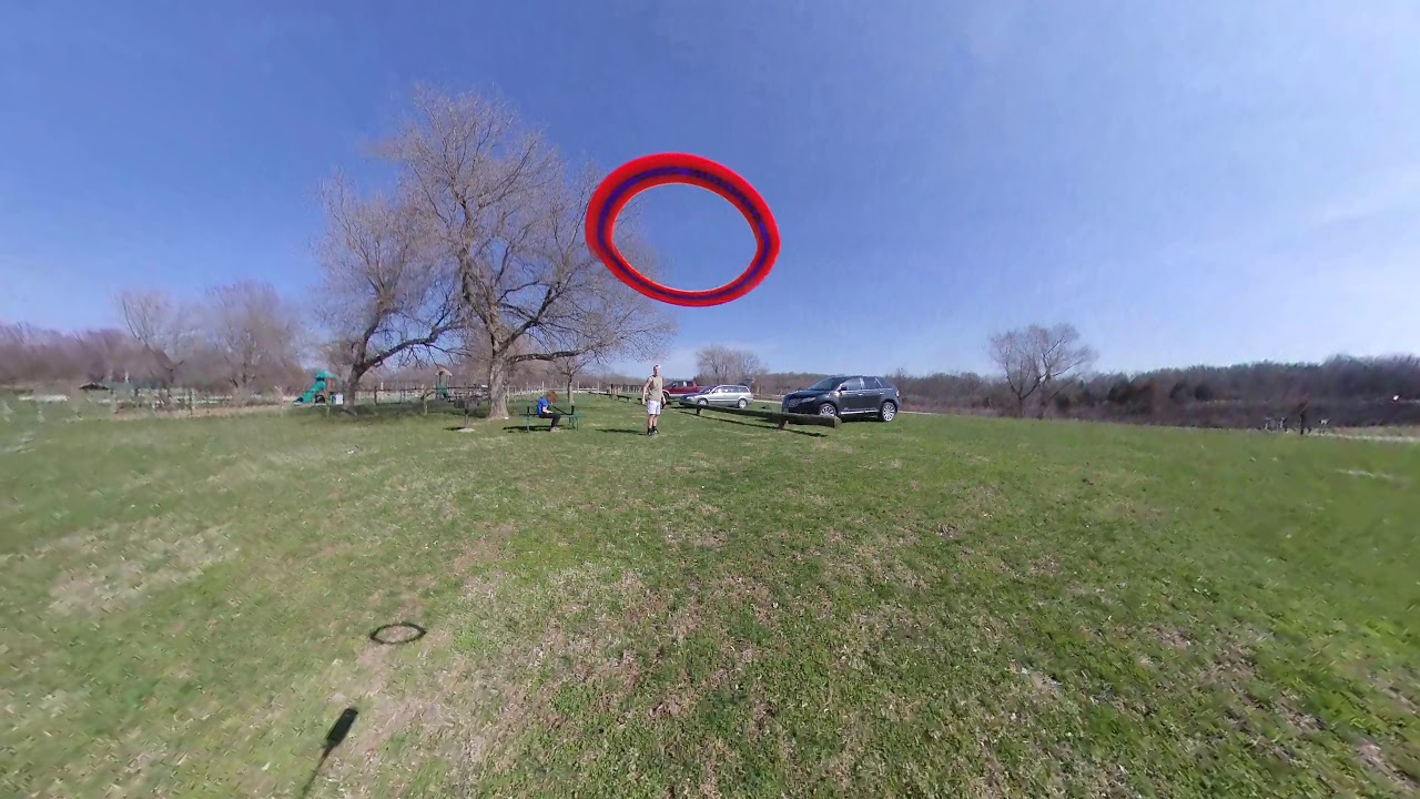 Catching a ring frisbee on a stick....