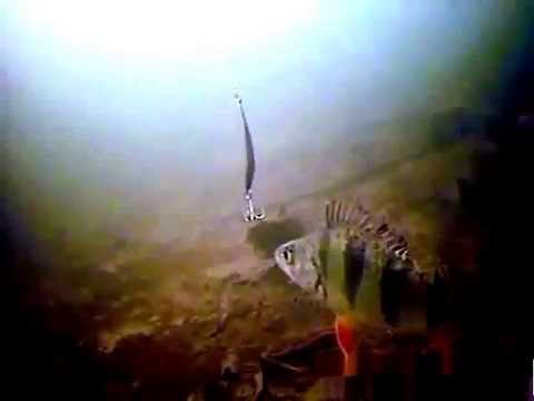 подводная камера для рыбалки sititek fishcam-700