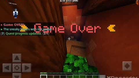 Minecraft The Hive Server - Hide & Seek #2