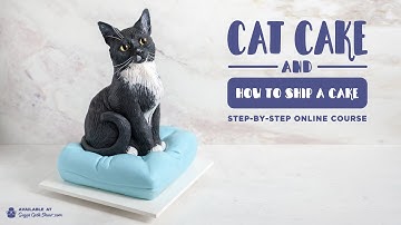NEW ONLINE COURSE - Cat Cake and How to Ship a Cake - ON SUGAR GEEK SHOW