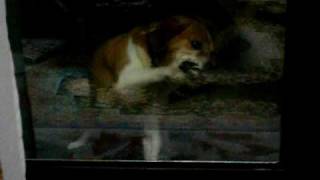 CIMG0012.AVI