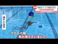 【新作】未確認生物にまつわるニュースがツッコミどころ満載だったwwwwww #2 【なろ屋】【ツッコミ】
