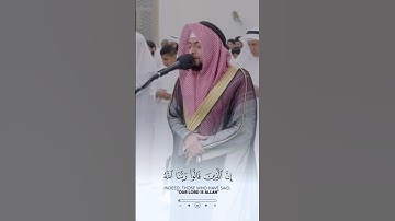 سورة فصلت، احمد النفيس. #تلاوة_خاشعة #القرآن_الكريم #احمد_النفيس