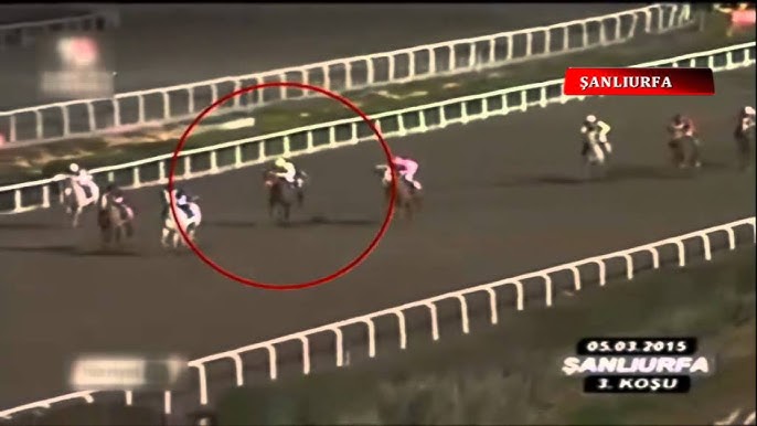 Ikki model oz mushuklari bilan oynaydi Ikki model oz mushuklari bilan oynaydi