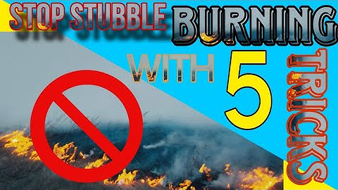 The Burning Issue: Understanding the Impact of Stubble Burning