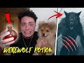 GIVING WEREWOLF POTION TO MY PUPPY AT 3 AM CHALLENGE!! *HE TRANSFORMED*