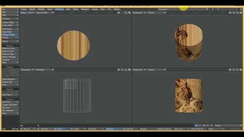 Newtek lightwave tutorial for animation maker.