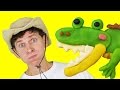 Walk In The Jungle Song with Matt | Action Song, Children's Song | Learn English Kids