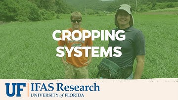 UF/IFAS Research | Cropping Systems