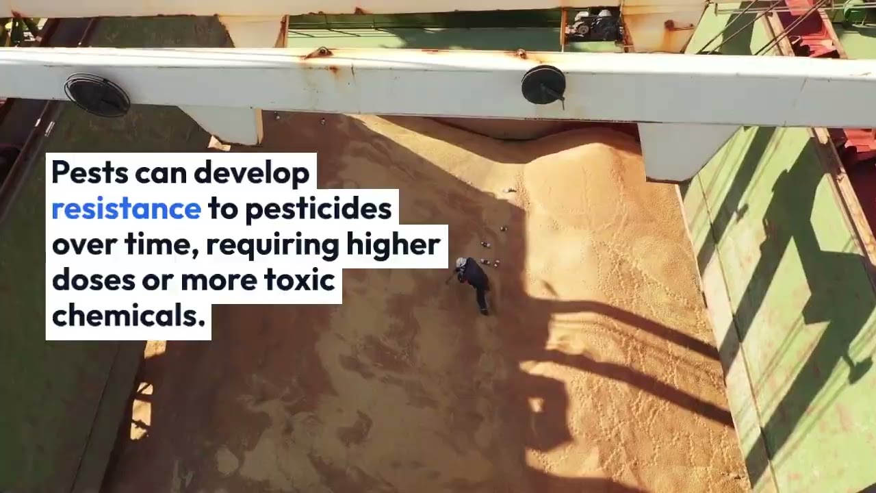 Environmental Impacts of Pesticides and Insecticides