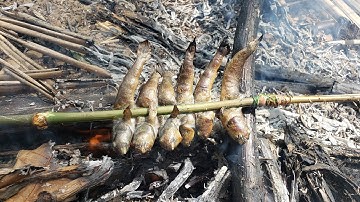 Cách câu cá thòi lòi Miền Tây nướng chấm muối ớt ăn ngon hết sẩy phần 1 | Trúc Anh Vlogs