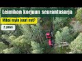 Leimikon korjuun seurantasarja | Miksi myin juuri nyt?