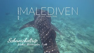 Malediven - Schnorcheln mit Walhai, Manta, Turtles und mehr .. Schnorcheln im Paradies