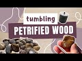 Tumbling petrified wood  full rock tumbling process from start to finish