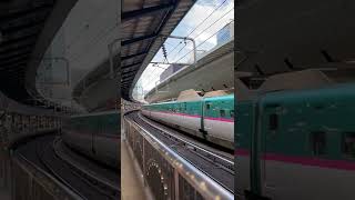 JR東日本 東北新幹線「なすの」那須塩原行き＠東京駅 E5系 入線