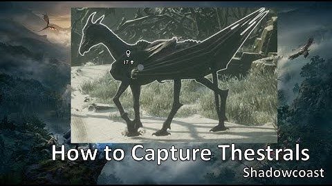 How to Capture Thestrals in Hogwarts Legacy! Foal of the Dead Quest