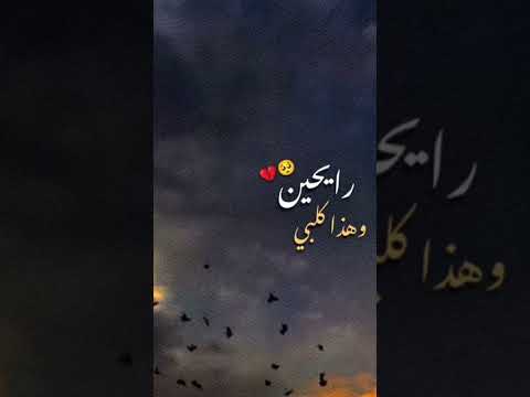 رايحين وهذا كلبي ميت تعوفونه المنشد محمد الحلفي