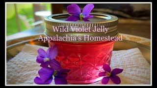 Appalachia's WILD Violet Jelly! Teaching My Sons #6