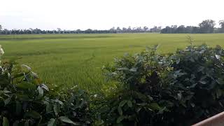 NGẮM CẢNH HOÀNG HÔN - NGHE NHẠC THƯ GIÃN screenshot 2