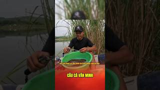 Giữ cân bằng sinh thái khi câu cá #lkhoa #cauca #fishing #caucathugian #shorts