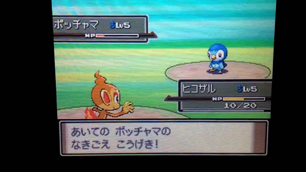 最高 ポケモン プラチナ ポッチャマ 100 で最高の画像