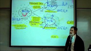 DIFFUSION, OSMOSIS & ACTIVE X-PORT ACROSS CELL MEMBRANES by Professor Fink