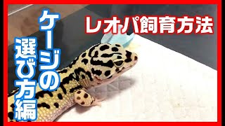 【おすすめのケージ3選】初心者向けケージの選び方を紹介します。【ベビーからアダルトまで飼育できる】