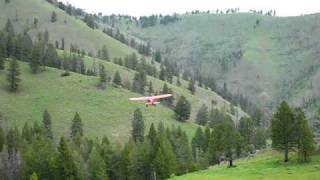 Piper Pacer Takeoff Mile Hi Idaho Backcountry