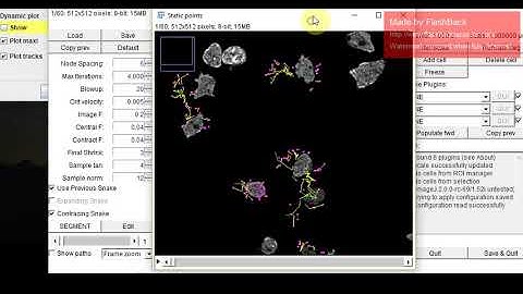 static points of cells in cell tracking