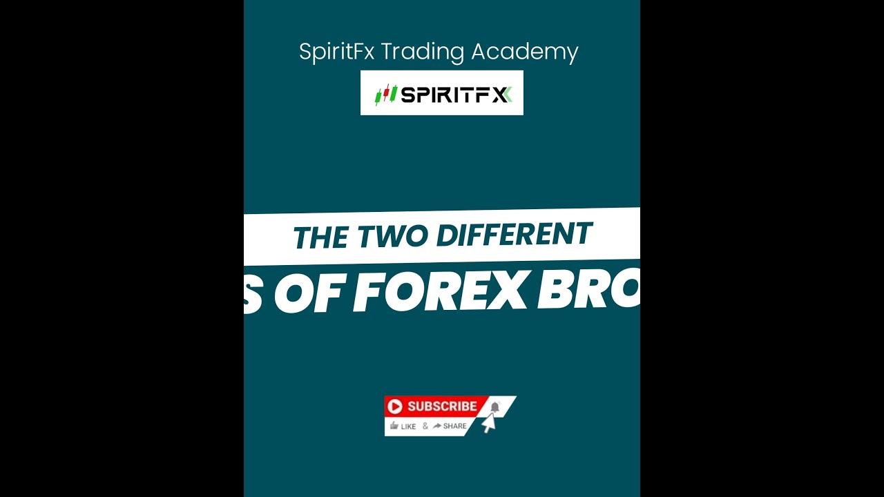 THE DIFFERENT TYPES OF FOREX BROKERS A BOOK & B BOOK MARKET MAKER