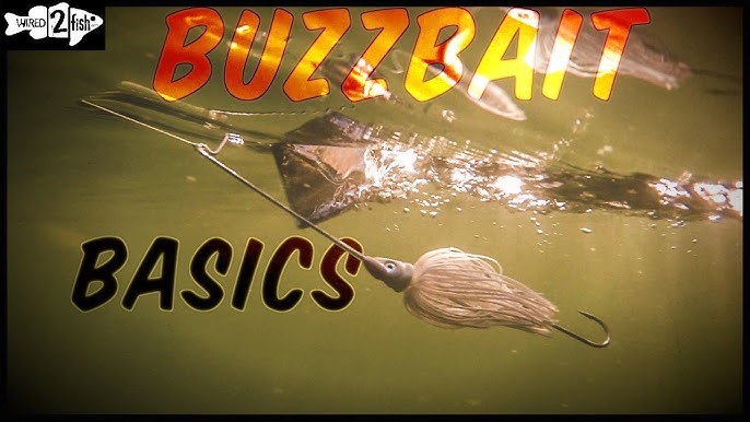 5 Buzzbait Tips to Catch Aggressive Fall Bass (VLOG) 