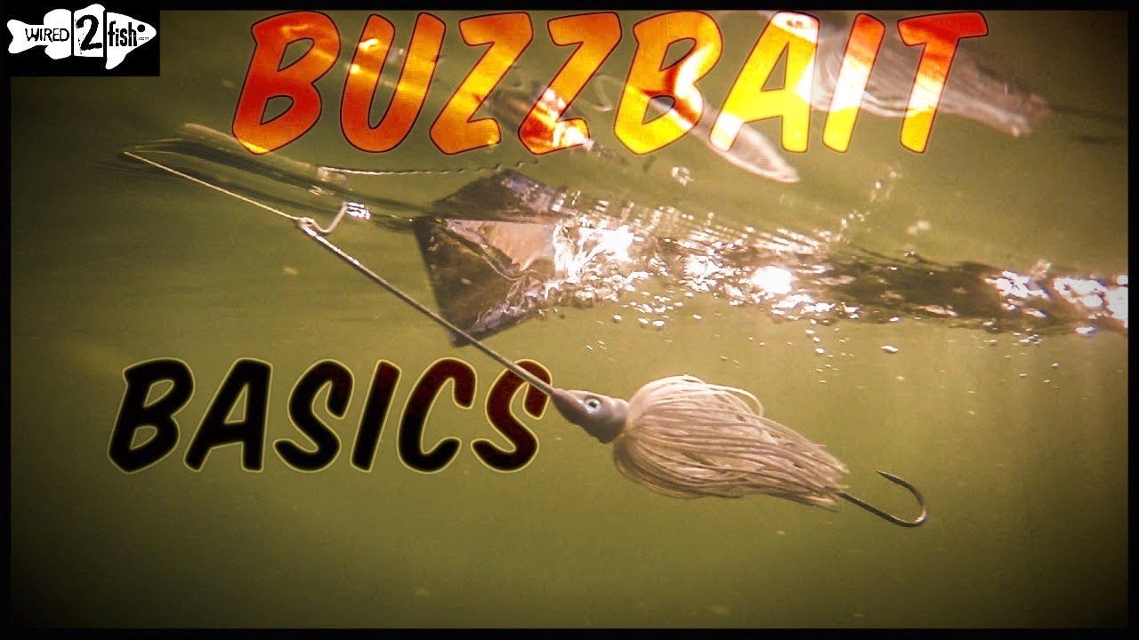 Buzzbait Fishing 101 With Denny Brauer 