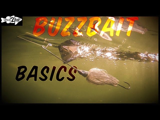 Buzzbait Fishing 101 With Denny Brauer 