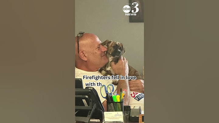 6-month-old puppy rescued from hot car adopted by fire department